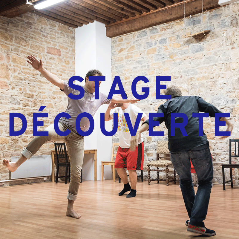 Stage Découverte